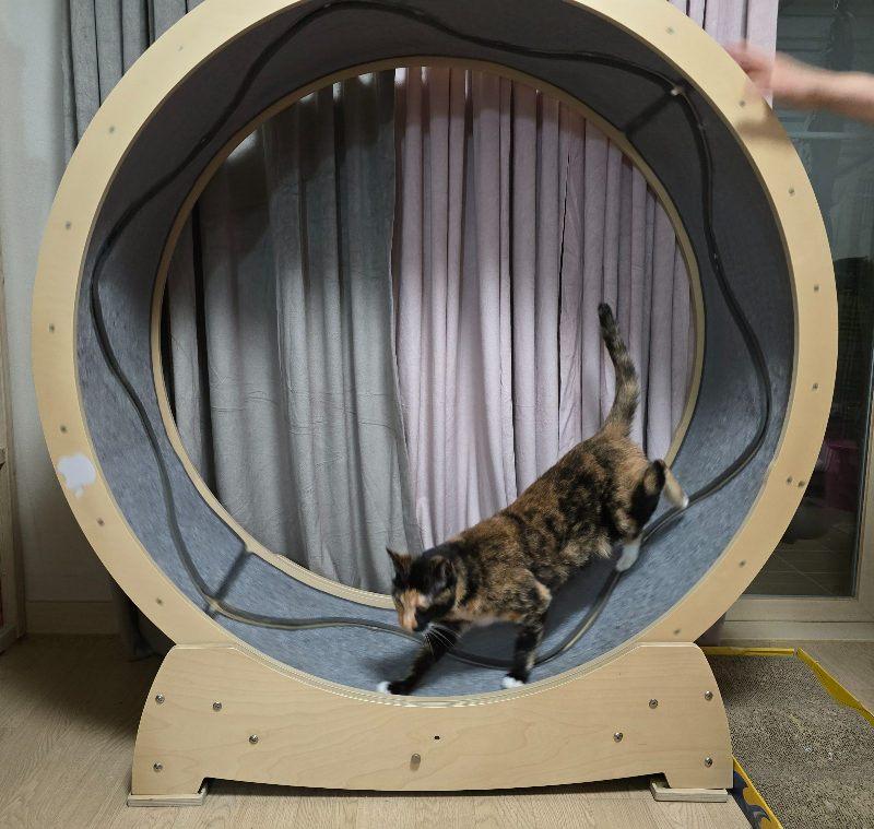 집사의 반격 스타캣휠 사용후기2