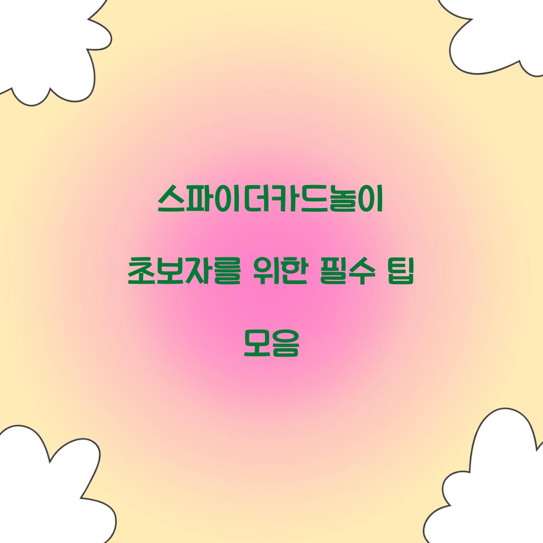 스파이더카드놀이