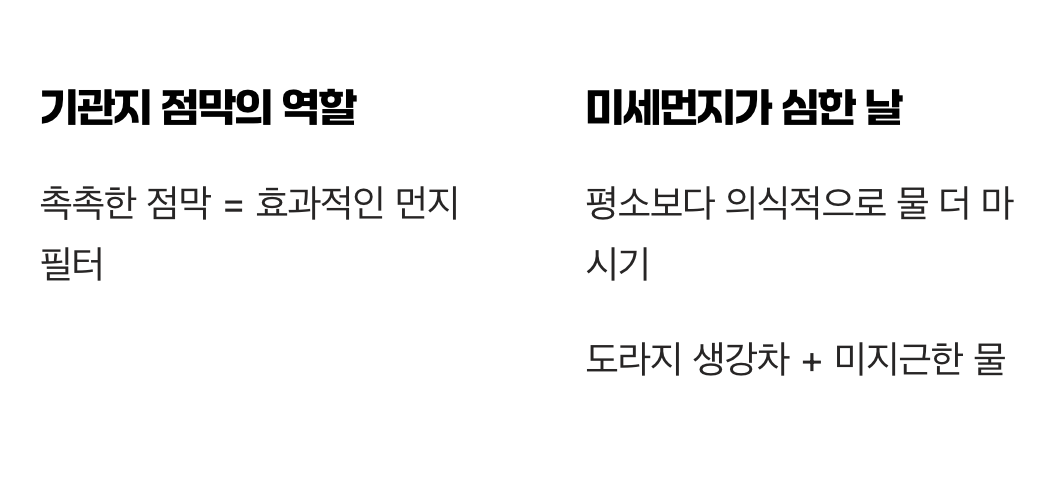 '차'보다 중요한 것, 충분한 '물' 마시기