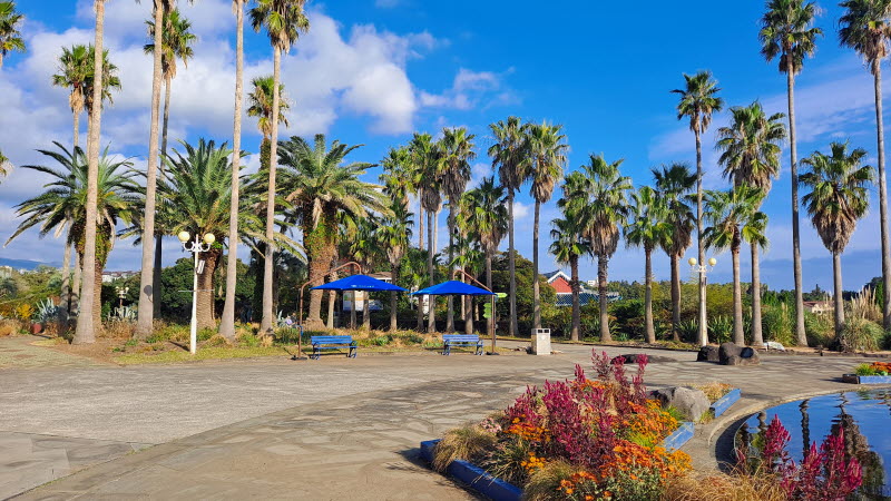 제주여행_여미지식물원