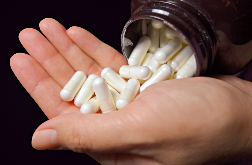 유산균 프로바이오틱스