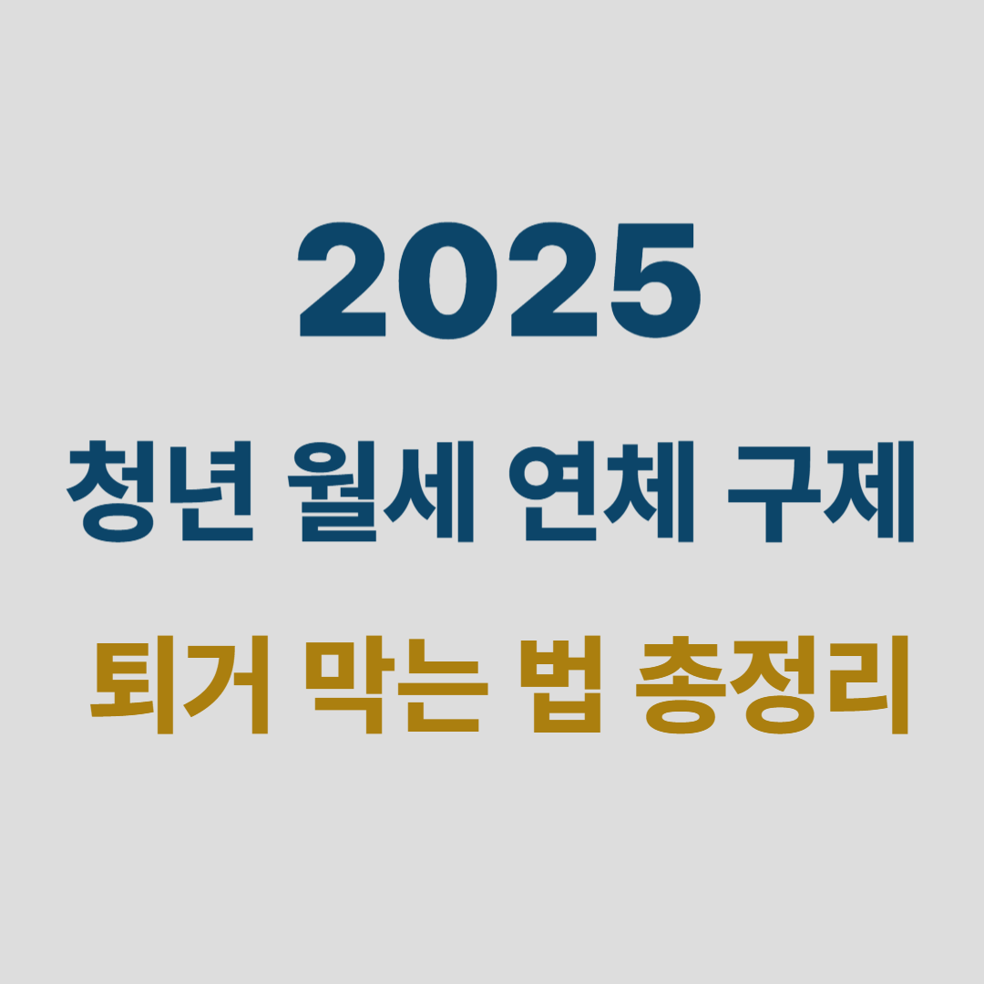 청년 월세 연체 퇴거 막는 법 총정리