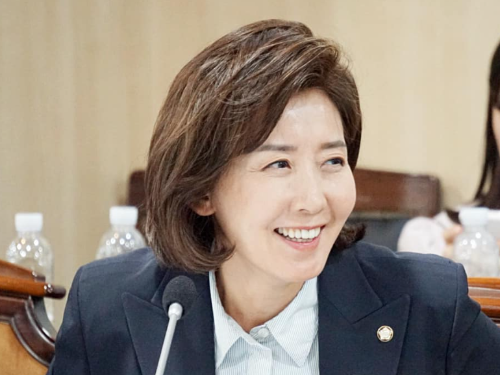 나경원 비대위원장 후보 하마평 이유 &amp;#124; 국민의힘 나경원 나이 고향 학력 딸 자녀 프로필