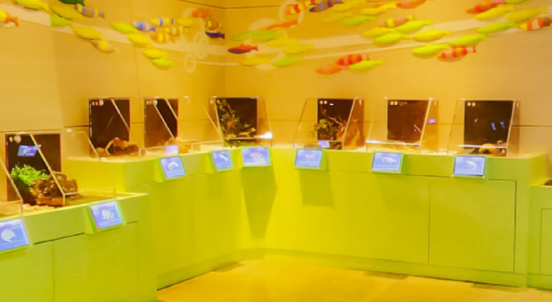 단양 아쿠아리움