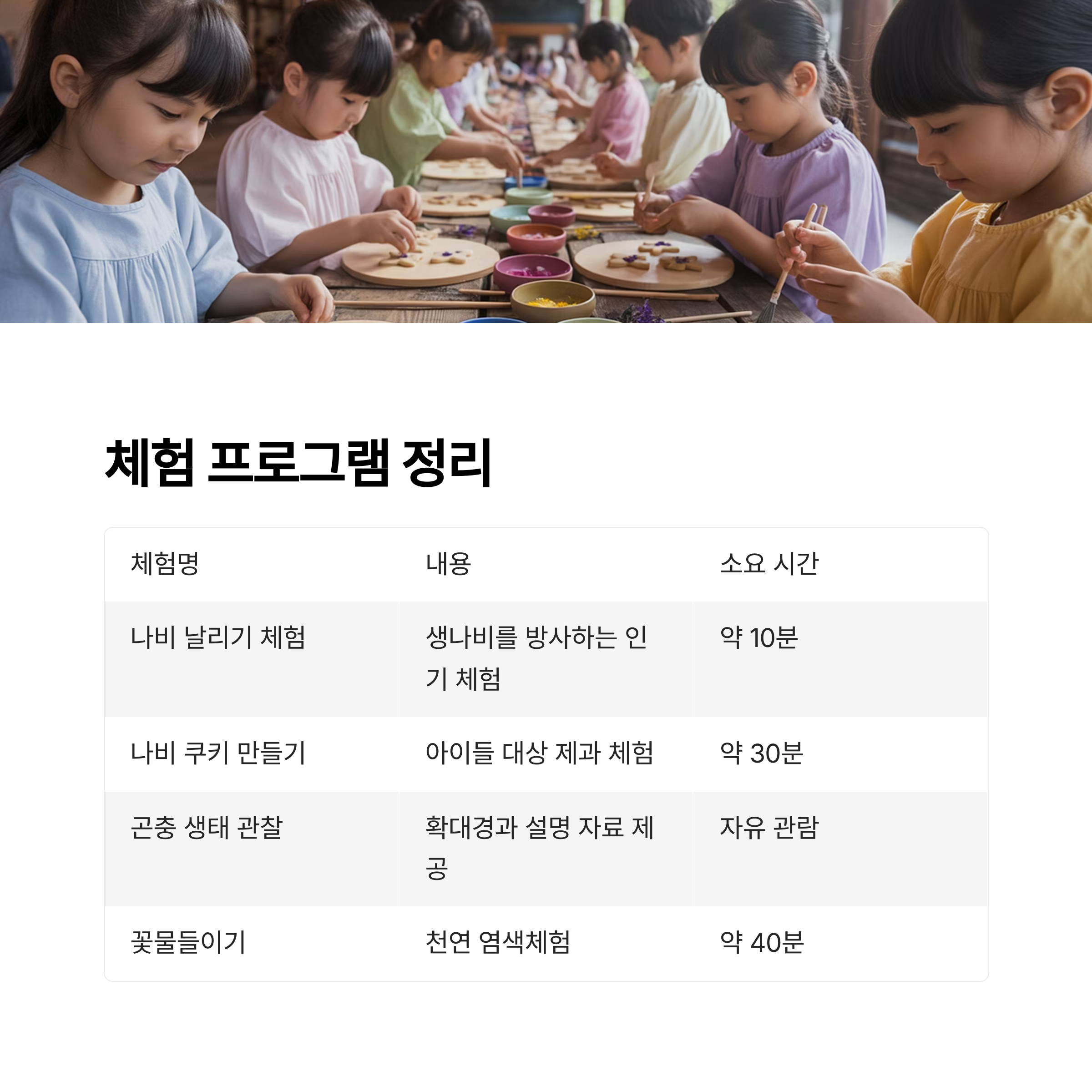 2025 함평나비대축제 완벽 안내서, 봄날의 자연 속으로!