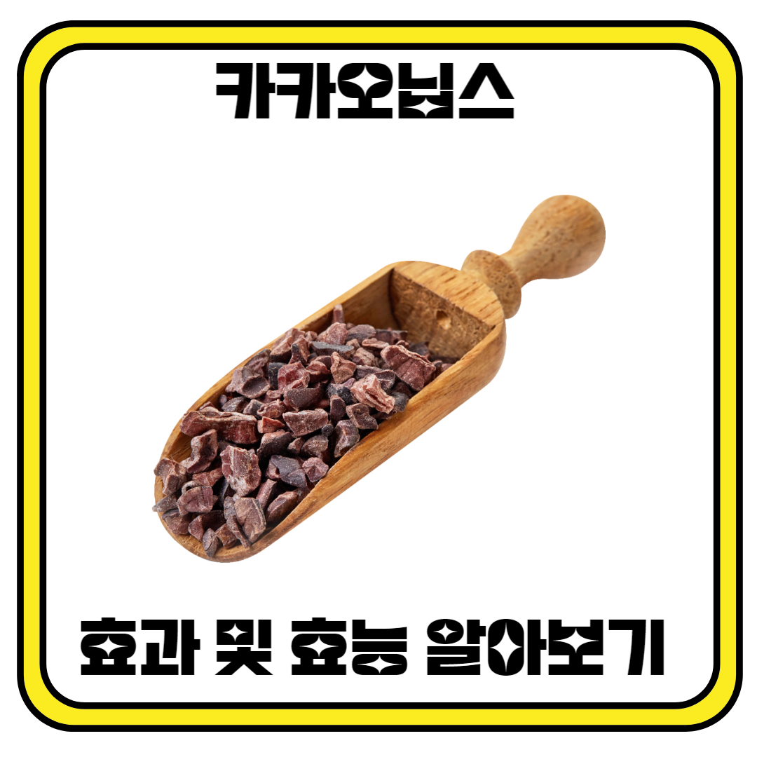 카카오닙스: 초콜릿보다 더 건강한 선택