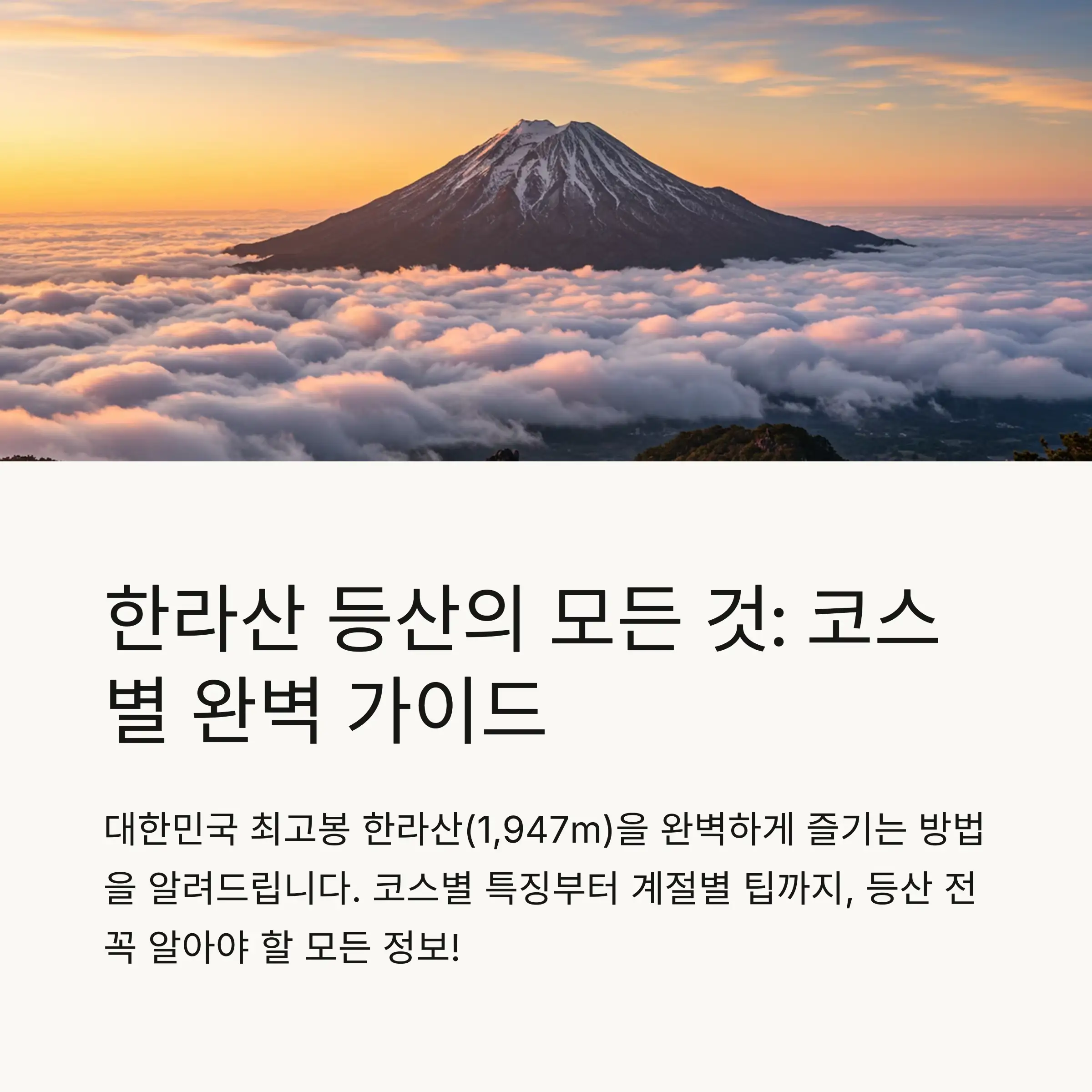 📋 목차