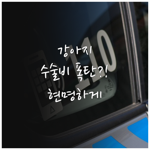 강아지 장폐색 수술비 부담 줄이는 현..