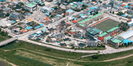 Tile 15