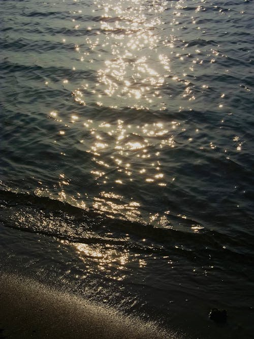 빛의 파동 - 생체 시계와 의학적 함의