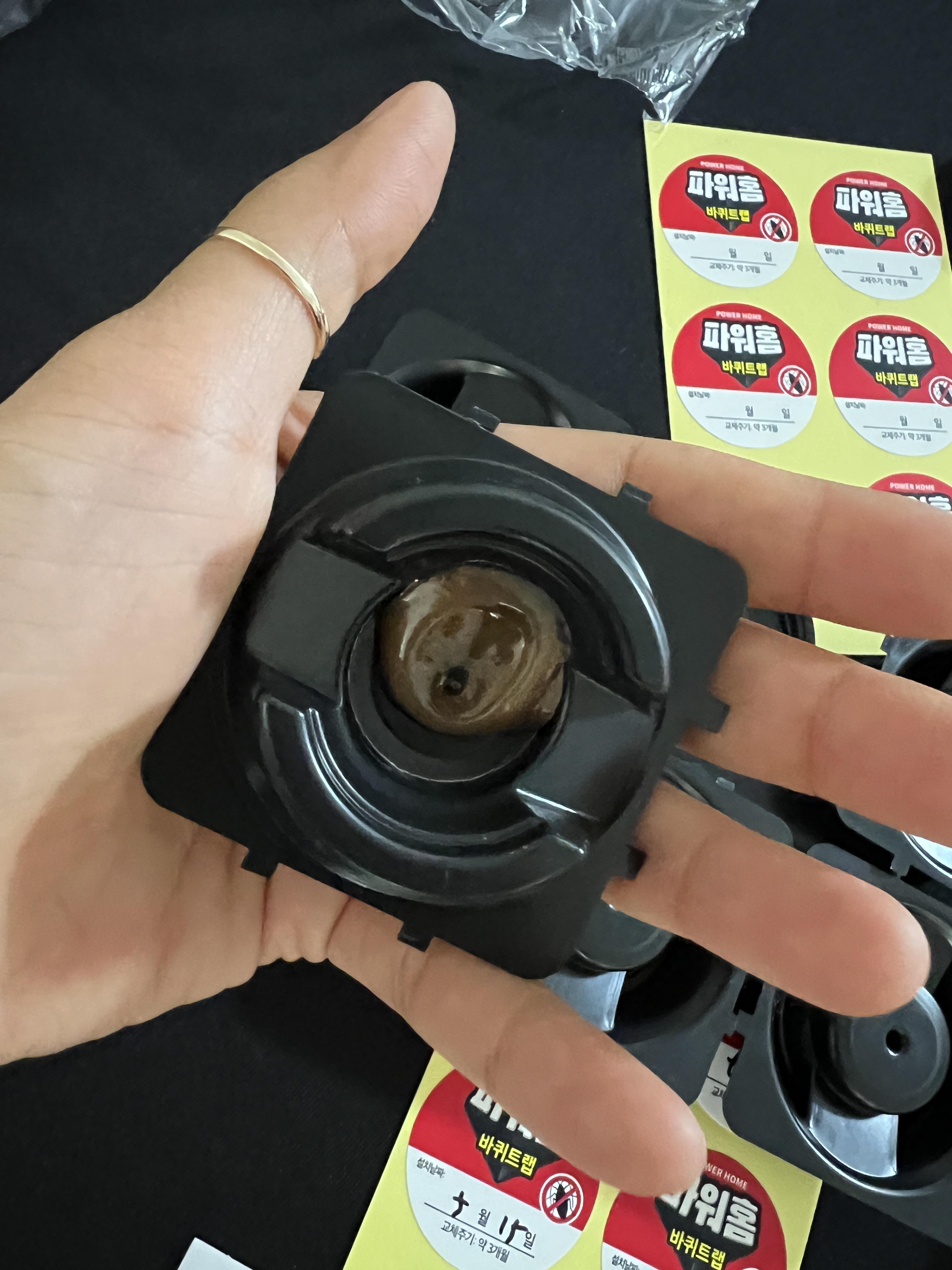 다이소 파워홈 바퀴트랩 바퀴벌레 퇴치