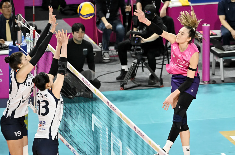 여자배구 순위