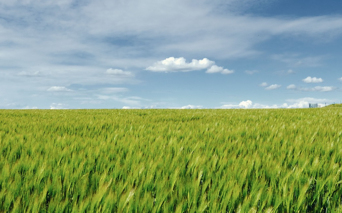 6월 여행하기 좋은곳 BEST 5