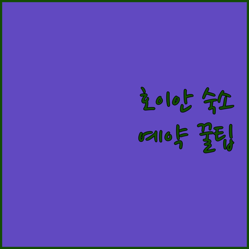 호이안 호텔 예약 꿀팁 숙소 규정 및..