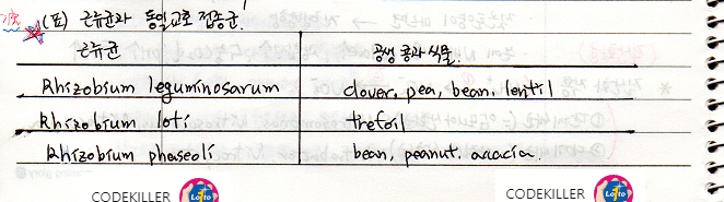 근류균과 동일교호접종군