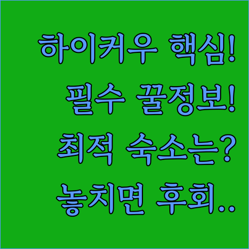 하이커우 여행자 필수 정보 환승 숙박..