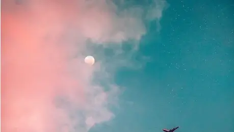 달 꿈해몽