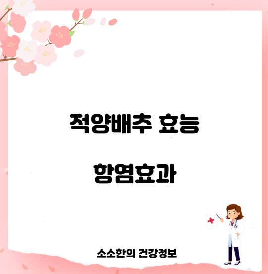 적양배추 효능 항염효과