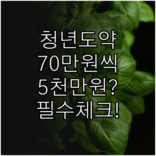 청년도약계좌 조건 및 혜택 70만원 ..