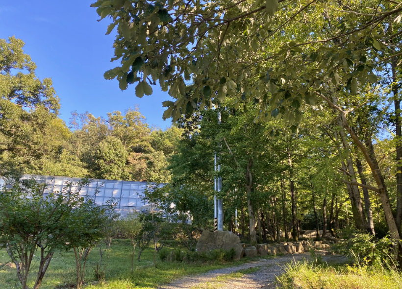 파크 187 수목원 이미지