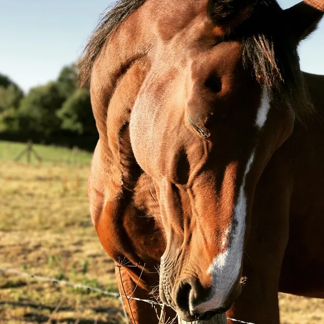 차상위계층 기준 혜택 확인방법 정리_3