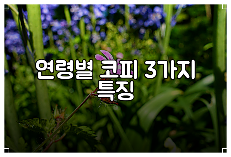 연령별 코피 3가지 특징
