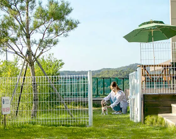 위드독애견풀빌라