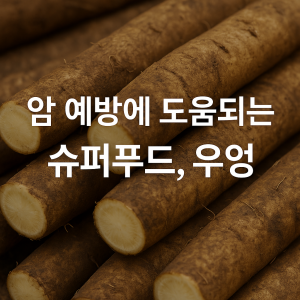 우엉의 놀라운 효능