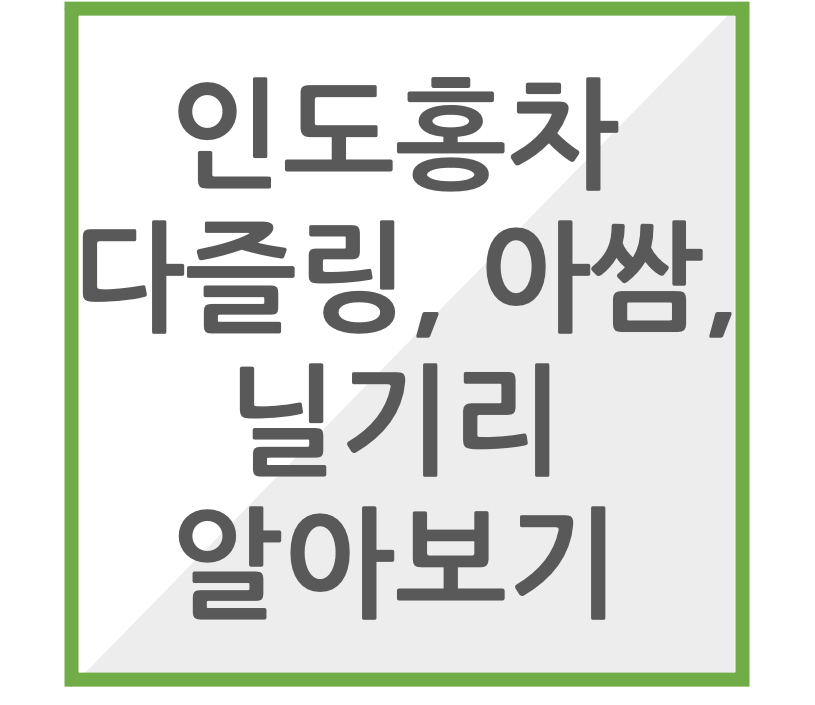 인도홍차, 다즐링, 아쌈, 닐기리 알아보기