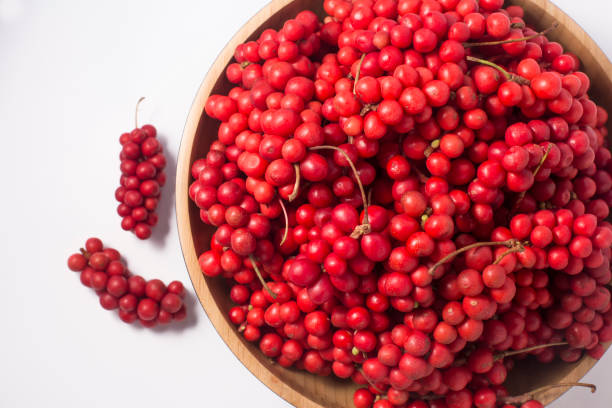 오미자차의 효능 5가지