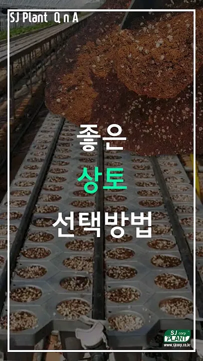 상토 선택 화분심기 초보기준 비료섞는법 안전 가이드_7