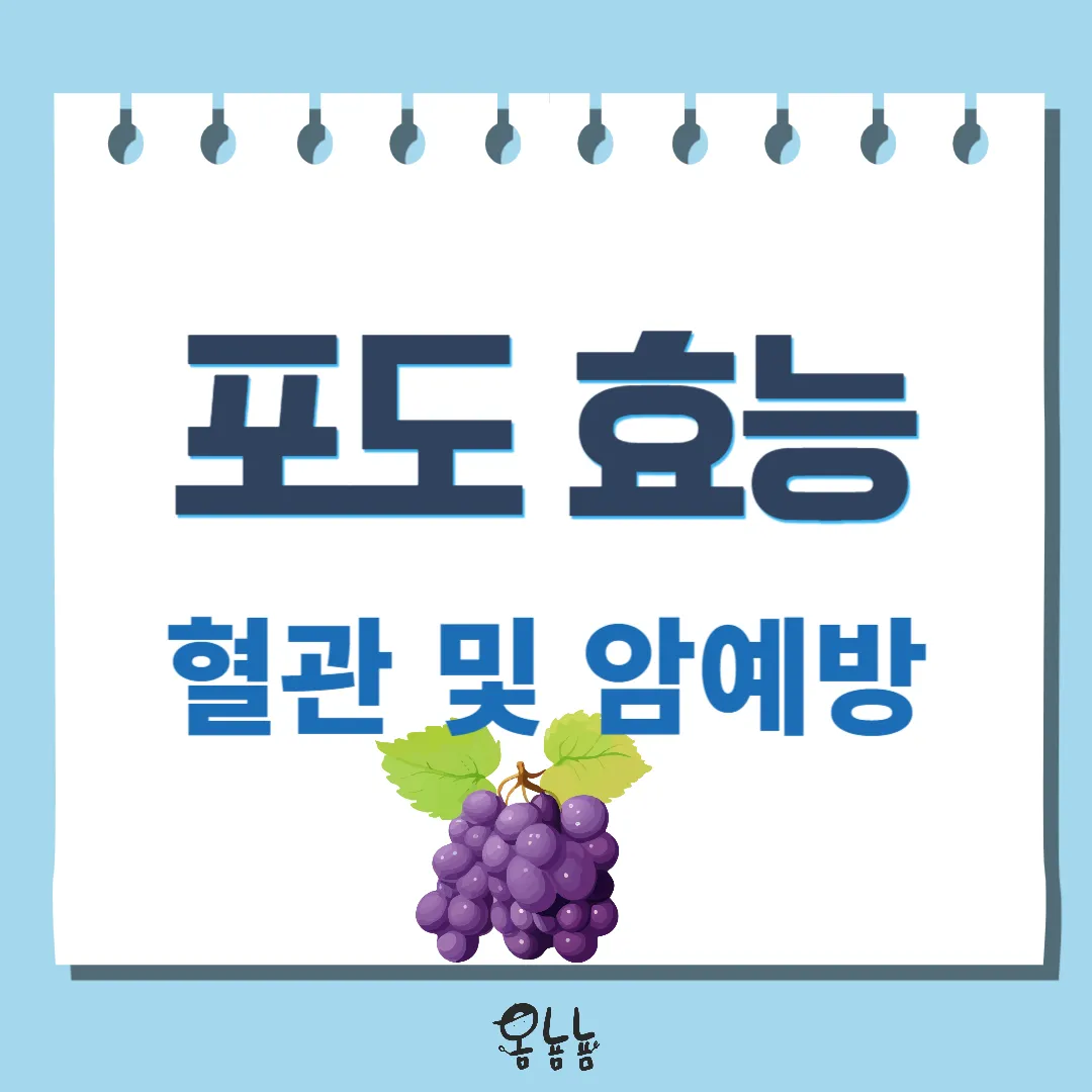 포도 효능