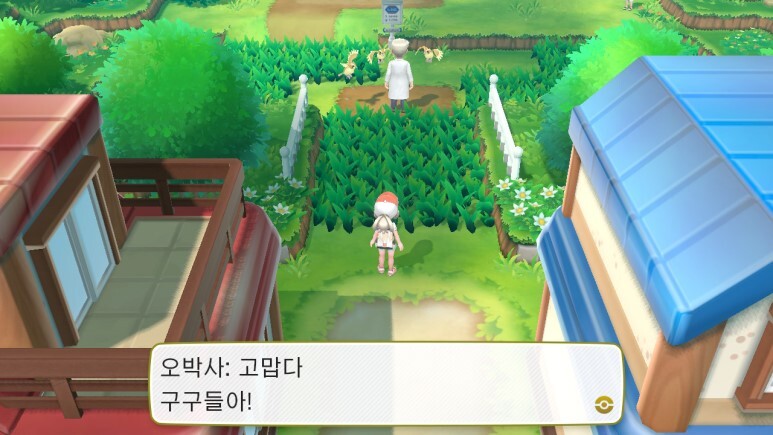 레츠고 피카츄/이브이