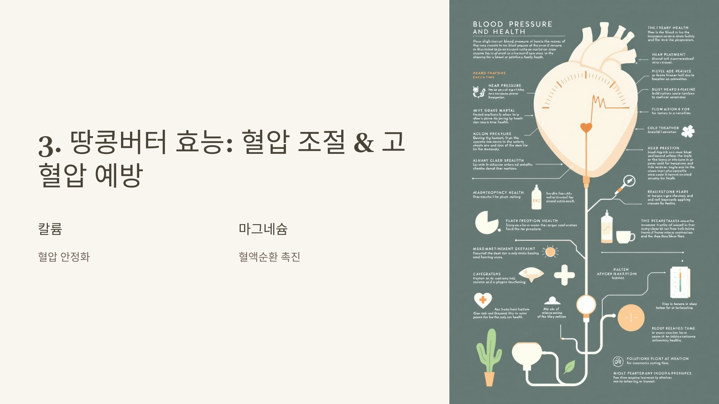 땅콩버터 사진입니다.