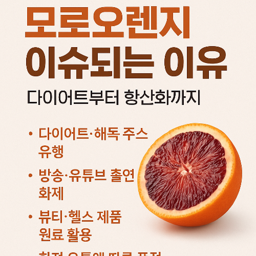 모로오렌지🍊 왜 갑자기 난리? 이슈되는 이유 총정리!
