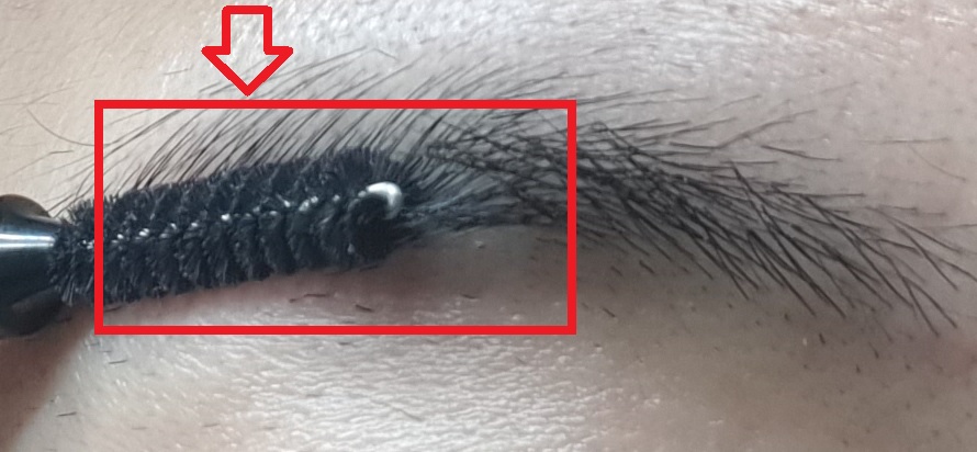 남자 아이브로우