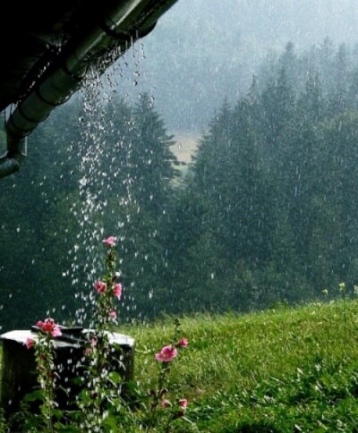 장대비 내리는 모습