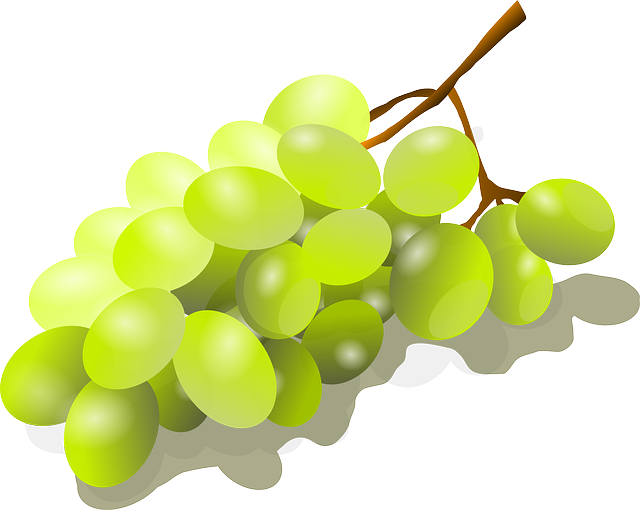 포도효능&amp;#44; 포도종류