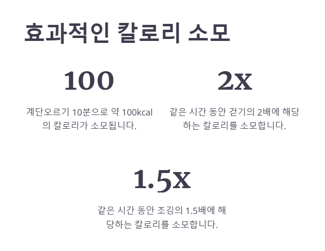 계단오르기 운동효과 효과적인 칼로리 소모