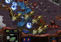 스타크래프트 무료다운로드 홈페이지