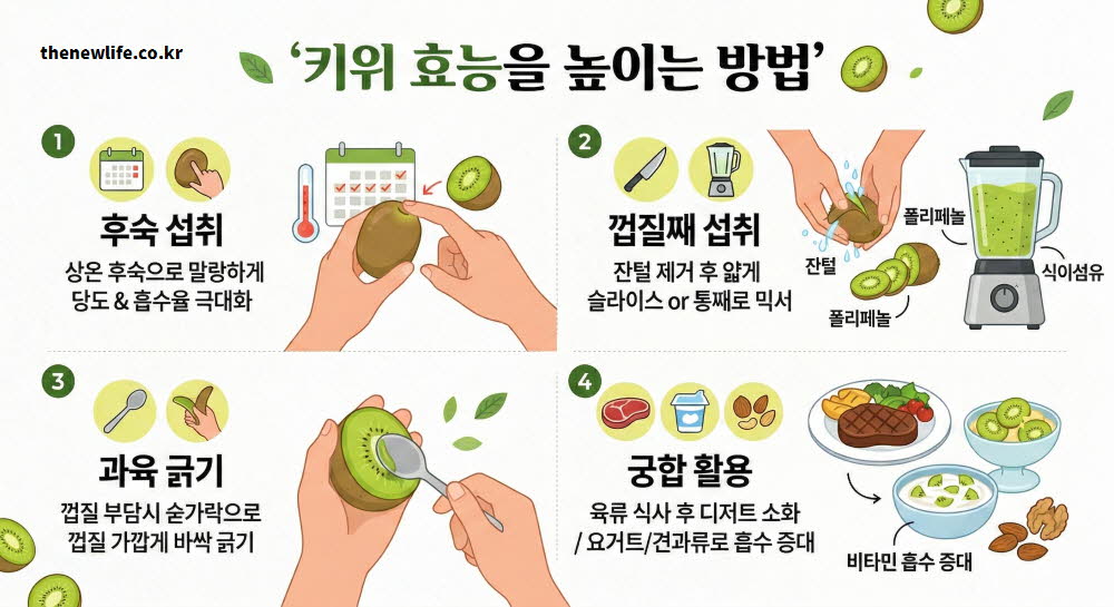 키위 효능을 온전히 흡수하기 위해 올바른 후숙 및 섭취 방법을 설명하는 이미지