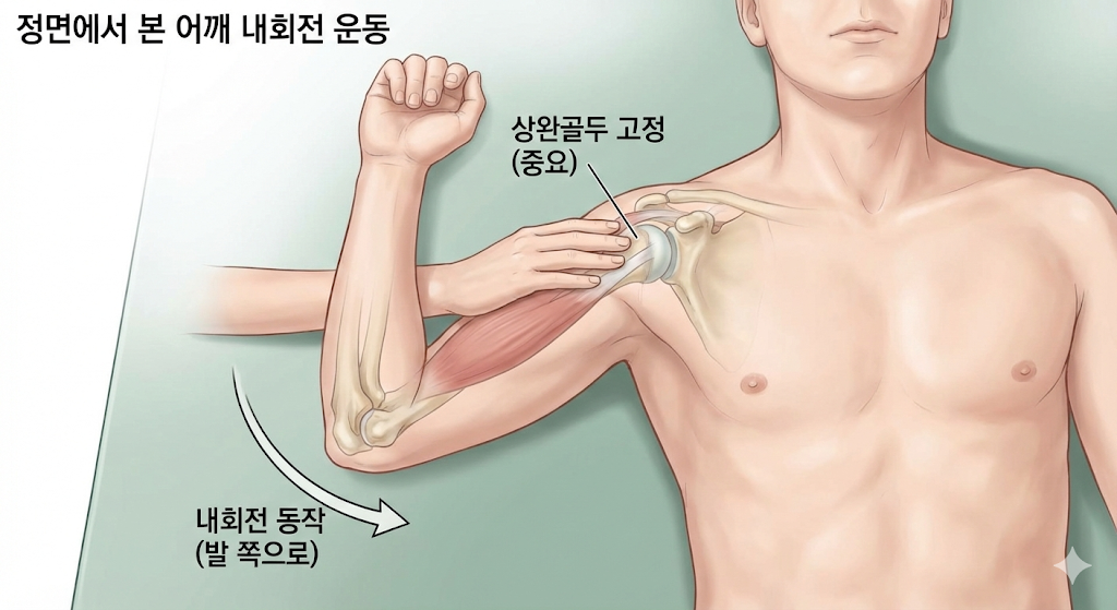 견갑하근 강화운동