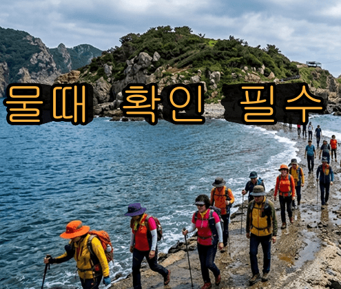 소매물도 배시간표