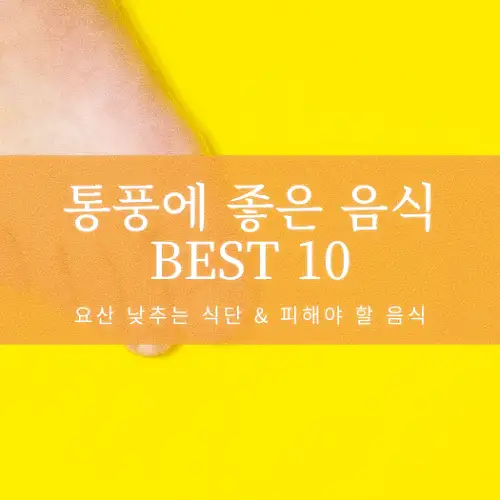 통풍에 좋은 음식 BEST 10