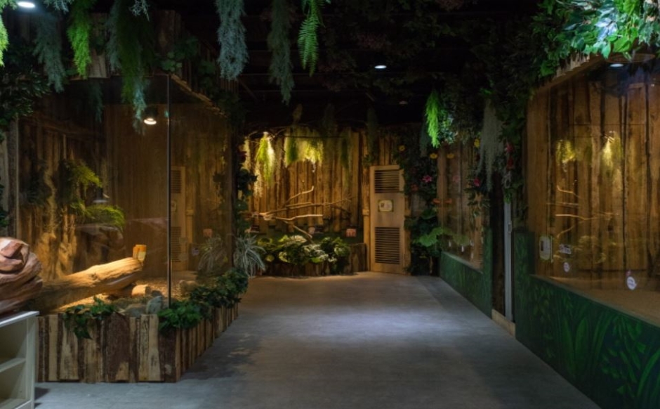 오산 가볼만한곳 - 오마이쥬