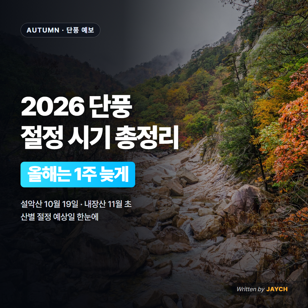 2026 단풍 절정 시기 썸네일 - 가을 단풍 계곡 사진
