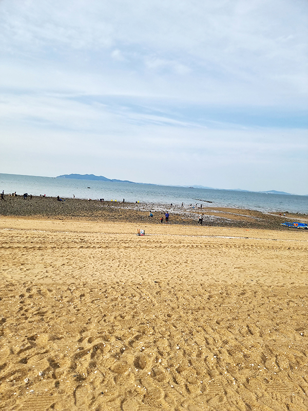 옹진군 해수욕장 하이바다