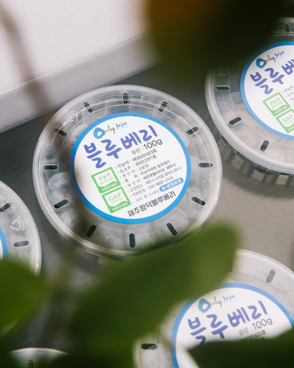 [6시 내고향] 제주 블루베리 제주함덕블루베리 택배주문 정보