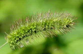 화담숲 예약 - 화담채