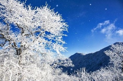 북한산 사기막 야영장 예약 명당